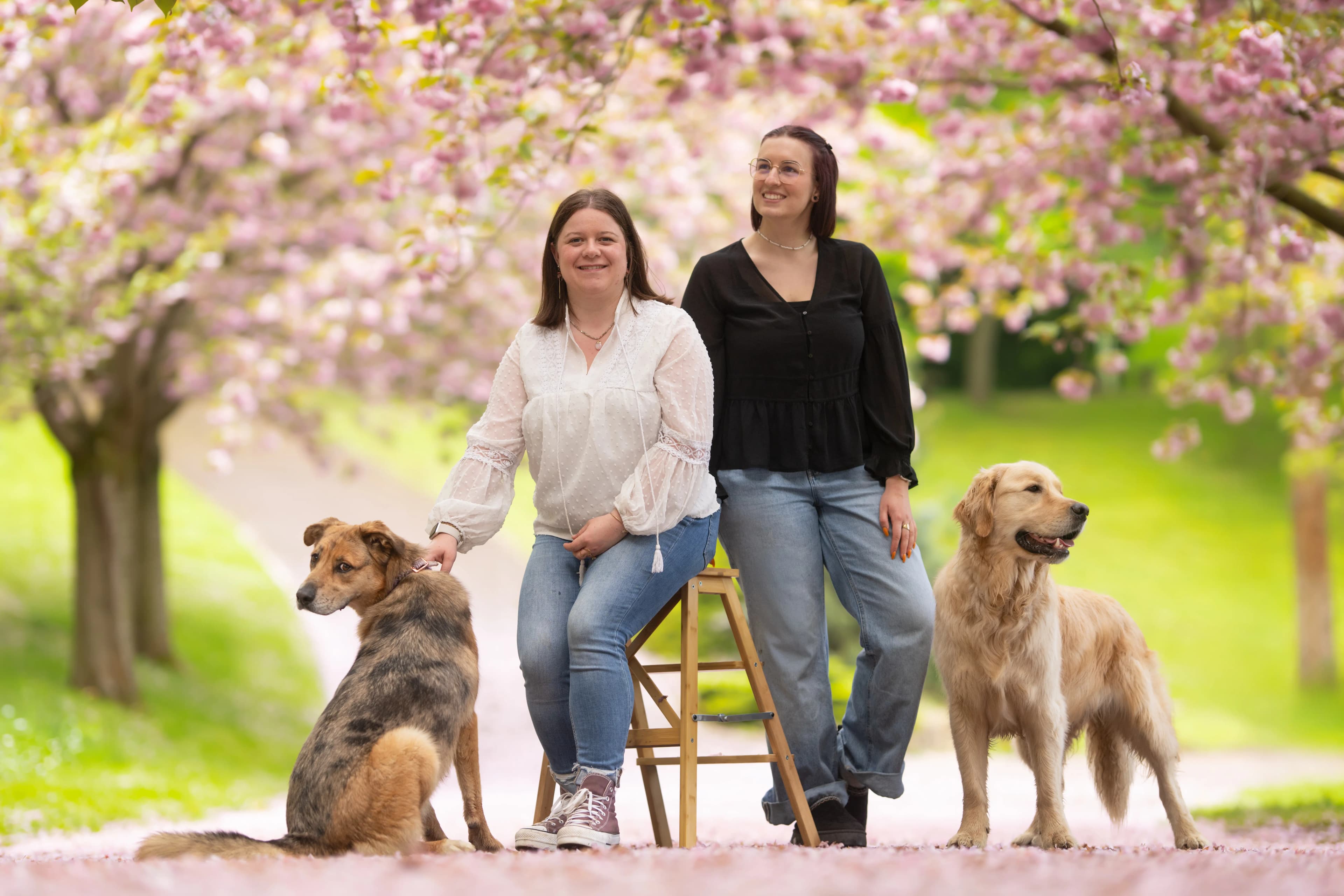 Portes ouvertes ! 14 et 15 mars