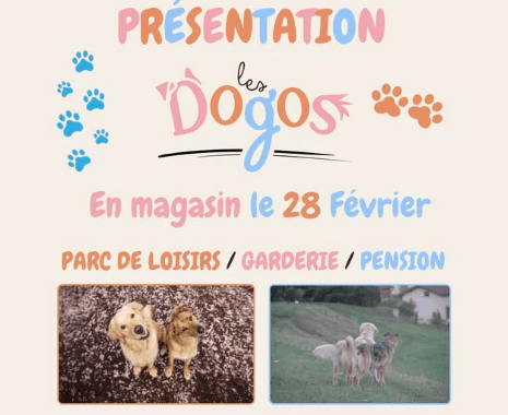 Les Dogos chez Médor et Compagnie !