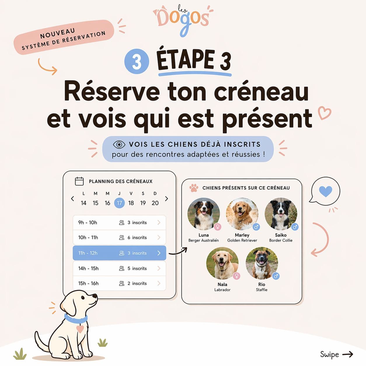 Rendez vous pour le contrat et le test social